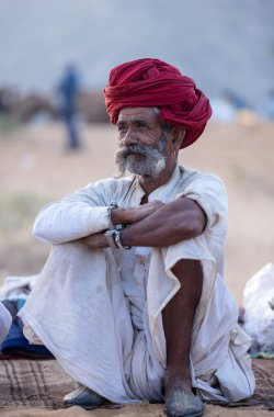 Puşkar, Rajasthan, Hindistan - 11 Kasım 2024: Geleneksel beyaz giysili rajasthani erkek portresi çöl panayırında renkli türbanla deve pazarında deve ticareti yaparken.