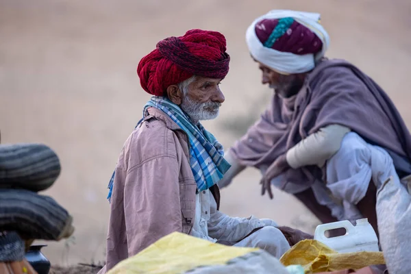 Puşkar, Rajasthan, Hindistan - 11 Kasım 2024: Geleneksel beyaz giysili rajasthani erkek portresi çöl panayırında renkli türbanla deve pazarında deve ticareti yaparken.