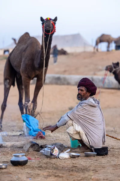 Puşkar, Rajasthan, Hindistan - 11 Kasım 2024: Geleneksel beyaz giysili rajasthani erkek portresi çöl panayırında renkli türbanla deve pazarında deve ticareti yaparken.