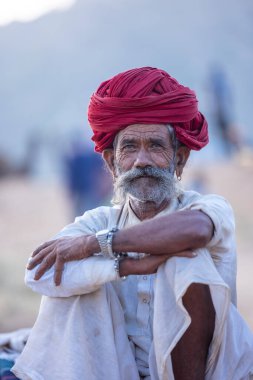 Puşkar, Rajasthan, Hindistan - 11 Kasım 2024: Geleneksel beyaz giysili rajasthani erkek portresi çöl panayırında renkli türbanla deve pazarında deve ticareti yaparken.