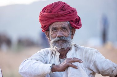 Puşkar, Rajasthan, Hindistan - 11 Kasım 2024: Geleneksel beyaz giysili rajasthani erkek portresi çöl panayırında renkli türbanla deve pazarında deve ticareti yaparken.