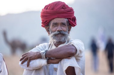 Puşkar, Rajasthan, Hindistan - 11 Kasım 2024: Geleneksel beyaz giysili rajasthani erkek portresi çöl panayırında renkli türbanla deve pazarında deve ticareti yaparken.