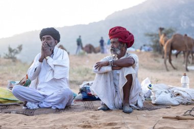 Puşkar, Rajasthan, Hindistan - 11 Kasım 2024: Geleneksel beyaz giysili rajasthani erkek portresi çöl panayırında renkli türbanla deve pazarında deve ticareti yaparken.