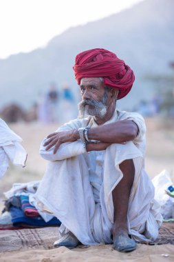 Puşkar, Rajasthan, Hindistan - 11 Kasım 2024: Geleneksel beyaz giysili rajasthani erkek portresi çöl panayırında renkli türbanla deve pazarında deve ticareti yaparken.