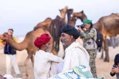 Puşkar, Rajasthan, Hindistan - 11 Kasım 2024: Geleneksel beyaz giysili rajasthani erkek portresi çöl panayırında renkli türbanla deve pazarında deve ticareti yaparken.