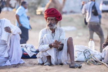 Puşkar, Rajasthan, Hindistan - 11 Kasım 2024: Geleneksel beyaz giysili rajasthani erkek portresi çöl panayırında renkli türbanla deve pazarında deve ticareti yaparken.