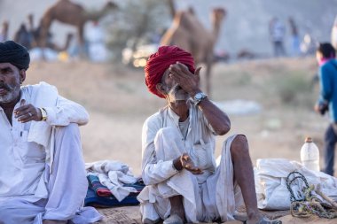 Puşkar, Rajasthan, Hindistan - 11 Kasım 2024: Geleneksel beyaz giysili rajasthani erkek portresi çöl panayırında renkli türbanla deve pazarında deve ticareti yaparken.