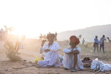 Puşkar, Rajasthan, Hindistan - 11 Kasım 2024: Geleneksel beyaz giysili rajasthani erkek portresi çöl panayırında renkli türbanla deve pazarında deve ticareti yaparken.