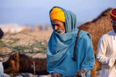 Puşkar, Rajasthan, Hindistan - 11 Kasım 2024: Geleneksel beyaz giysili rajasthani erkek portresi çöl panayırında renkli türbanla deve pazarında deve ticareti yaparken.