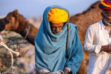 Puşkar, Rajasthan, Hindistan - 11 Kasım 2024: Geleneksel beyaz giysili rajasthani erkek portresi çöl panayırında renkli türbanla deve pazarında deve ticareti yaparken.