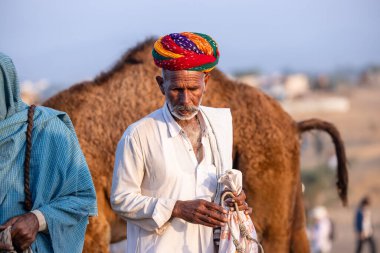 Puşkar, Rajasthan, Hindistan - 11 Kasım 2024: Geleneksel beyaz giysili rajasthani erkek portresi çöl panayırında renkli türbanla deve pazarında deve ticareti yaparken.