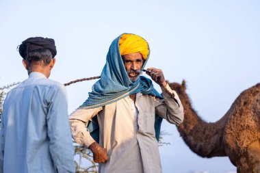 Puşkar, Rajasthan, Hindistan - 11 Kasım 2024: Geleneksel beyaz giysili rajasthani erkek portresi çöl panayırında renkli türbanla deve pazarında deve ticareti yaparken.
