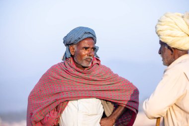 Puşkar, Rajasthan, Hindistan - 11 Kasım 2024: Geleneksel beyaz giysili rajasthani erkek portresi çöl panayırında renkli türbanla deve pazarında deve ticareti yaparken.