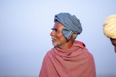 Puşkar, Rajasthan, Hindistan - 11 Kasım 2024: Geleneksel beyaz giysili rajasthani erkek portresi çöl panayırında renkli türbanla deve pazarında deve ticareti yaparken.