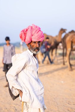 Puşkar, Rajasthan, Hindistan - 11 Kasım 2024: Geleneksel beyaz giysili rajasthani erkek portresi çöl panayırında renkli türbanla deve pazarında deve ticareti yaparken.