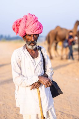 Puşkar, Rajasthan, Hindistan - 11 Kasım 2024: Geleneksel beyaz giysili rajasthani erkek portresi çöl panayırında renkli türbanla deve pazarında deve ticareti yaparken.