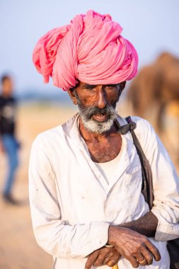 Puşkar, Rajasthan, Hindistan - 11 Kasım 2024: Geleneksel beyaz giysili rajasthani erkek portresi çöl panayırında renkli türbanla deve pazarında deve ticareti yaparken.