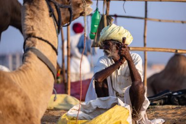 Puşkar, Rajasthan, Hindistan - 11 Kasım 2024: Geleneksel beyaz giysili rajasthani erkek portresi çöl panayırında renkli türbanla deve pazarında deve ticareti yaparken.