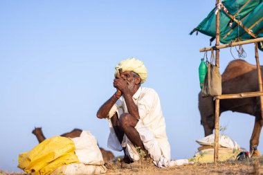 Puşkar, Rajasthan, Hindistan - 11 Kasım 2024: Geleneksel beyaz giysili rajasthani erkek portresi çöl panayırında renkli türbanla deve pazarında deve ticareti yaparken.