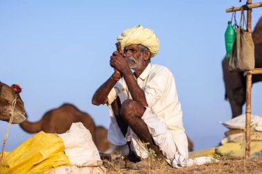 Puşkar, Rajasthan, Hindistan - 11 Kasım 2024: Geleneksel beyaz giysili rajasthani erkek portresi çöl panayırında renkli türbanla deve pazarında deve ticareti yaparken.