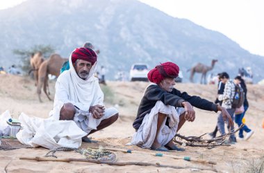 Puşkar, Rajasthan, Hindistan - 11 Kasım 2024: Geleneksel beyaz giysili rajasthani erkek portresi çöl panayırında renkli türbanla deve pazarında deve ticareti yaparken.