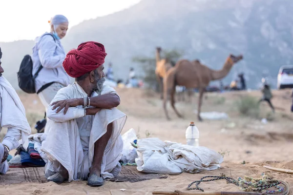 Puşkar, Rajasthan, Hindistan - 11 Kasım 2024: Geleneksel beyaz giysili rajasthani erkek portresi çöl panayırında renkli türbanla deve pazarında deve ticareti yaparken.