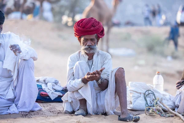 Puşkar, Rajasthan, Hindistan - 11 Kasım 2024: Geleneksel beyaz giysili rajasthani erkek portresi çöl panayırında renkli türbanla deve pazarında deve ticareti yaparken.