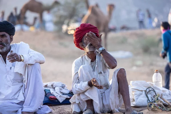 Puşkar, Rajasthan, Hindistan - 11 Kasım 2024: Geleneksel beyaz giysili rajasthani erkek portresi çöl panayırında renkli türbanla deve pazarında deve ticareti yaparken.