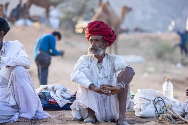 Puşkar, Rajasthan, Hindistan - 11 Kasım 2024: Geleneksel beyaz giysili rajasthani erkek portresi çöl panayırında renkli türbanla deve pazarında deve ticareti yaparken.