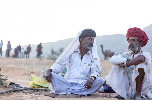 Puşkar, Rajasthan, Hindistan - 11 Kasım 2024: Geleneksel beyaz giysili rajasthani erkek portresi çöl panayırında renkli türbanla deve pazarında deve ticareti yaparken.