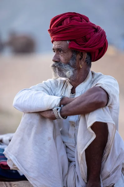 Puşkar, Rajasthan, Hindistan - 11 Kasım 2024: Geleneksel beyaz giysili rajasthani erkek portresi çöl panayırında renkli türbanla deve pazarında deve ticareti yaparken.