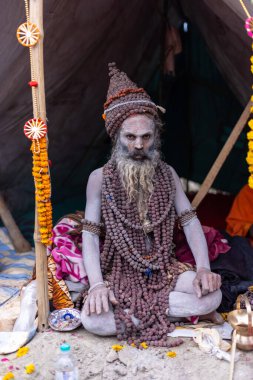 Prayagraj, Uttar Pradesh, Hindistan - 15 Ocak 2025: Mahakumbh, Kış sabahı ibadet ve ayinleri gerçekleştirmek için.