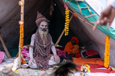 Prayagraj, Uttar Pradesh, Hindistan - 15 Ocak 2025: Mahakumbh, Kış sabahı ibadet ve ayinleri gerçekleştirmek için.