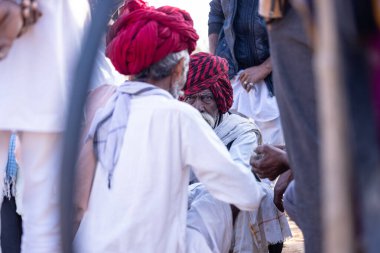 Puşkar, Rajasthan, Hindistan - 11 Kasım 2024: Geleneksel beyaz giysili rajasthani erkek portresi çöl panayırında renkli türbanla deve pazarında deve ticareti yaparken.