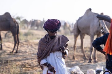 Puşkar, Rajasthan, Hindistan - 11 Kasım 2024: Geleneksel beyaz giysili rajasthani erkek portresi çöl panayırında renkli türbanla deve pazarında deve ticareti yaparken.