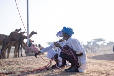 Puşkar, Rajasthan, Hindistan - 11 Kasım 2024: Geleneksel beyaz giysili rajasthani erkek portresi çöl panayırında renkli türbanla deve pazarında deve ticareti yaparken.