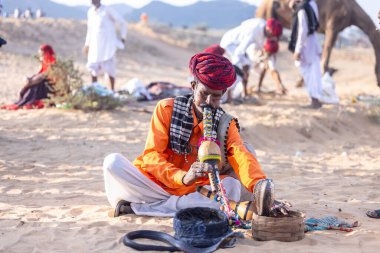 Puşkar, Rajasthan, Hindistan - 11 Kasım 2024: Genç yılan oynatıcısı bir erkek grubu açık denizde renkli türbanlı kobra yılanı tutuyor.