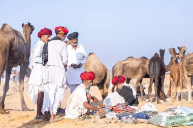 Puşkar, Rajasthan, Hindistan - 11 Kasım 2024: Geleneksel beyaz giysili rajasthani erkek portresi çöl panayırında renkli türbanla deve pazarında deve ticareti yaparken.