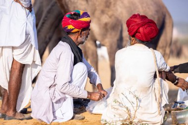 Puşkar, Rajasthan, Hindistan - 11 Kasım 2024: Geleneksel beyaz giysili rajasthani erkek portresi çöl panayırında renkli türbanla deve pazarında deve ticareti yaparken.