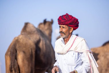 Puşkar, Rajasthan, Hindistan - 11 Kasım 2024: Geleneksel beyaz giysili rajasthani erkek portresi çöl panayırında renkli türbanla deve pazarında deve ticareti yaparken.