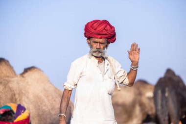 Puşkar, Rajasthan, Hindistan - 11 Kasım 2024: Geleneksel beyaz giysili rajasthani erkek portresi çöl panayırında renkli türbanla deve pazarında deve ticareti yaparken.