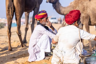 Puşkar, Rajasthan, Hindistan - 11 Kasım 2024: Geleneksel beyaz giysili rajasthani erkek portresi çöl panayırında renkli türbanla deve pazarında deve ticareti yaparken.