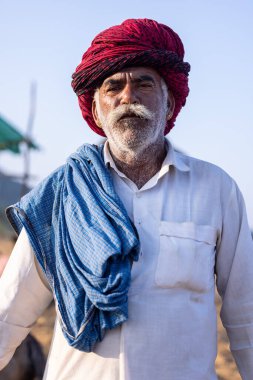 Puşkar, Rajasthan, Hindistan - 11 Kasım 2024: Geleneksel beyaz giysili rajasthani erkek portresi çöl panayırında renkli türbanla deve pazarında deve ticareti yaparken.
