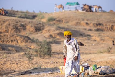 Puşkar, Rajasthan, Hindistan - 11 Kasım 2024: Geleneksel beyaz giysili rajasthani erkek portresi çöl panayırında renkli türbanla deve pazarında deve ticareti yaparken.
