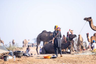 Puşkar, Rajasthan, Hindistan - 10 Kasım 2024: Pushkar Deve Fuarı 'nda kimliği belirsiz Hintli Rajasthani kadınlarının portresi.