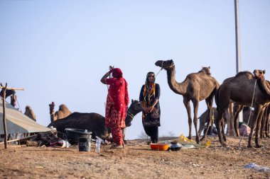 Puşkar, Rajasthan, Hindistan - 10 Kasım 2024: Pushkar Deve Fuarı 'nda kimliği belirsiz Hintli Rajasthani kadınlarının portresi.
