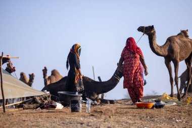 Puşkar, Rajasthan, Hindistan - 10 Kasım 2024: Pushkar Deve Fuarı 'nda kimliği belirsiz Hintli Rajasthani kadınlarının portresi.