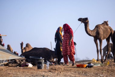 Puşkar, Rajasthan, Hindistan - 10 Kasım 2024: Pushkar Deve Fuarı 'nda kimliği belirsiz Hintli Rajasthani kadınlarının portresi.