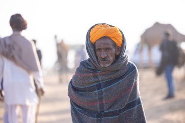 Puşkar, Rajasthan, Hindistan - 11 Kasım 2024: Geleneksel beyaz giysili rajasthani erkek portresi çöl panayırında renkli türbanla deve pazarında deve ticareti yaparken.