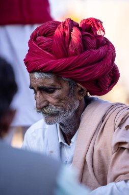 Puşkar, Rajasthan, Hindistan - 11 Kasım 2024: Geleneksel beyaz giysili rajasthani erkek portresi çöl panayırında renkli türbanla deve pazarında deve ticareti yaparken.